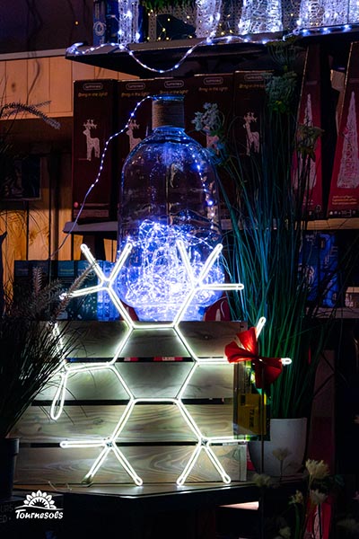 Grand flocon de neige lumineux